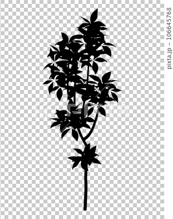 Young tree illustration_silhouette Young tree illustration_silhouette 106645768