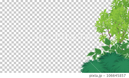 Japanese-style planter frame_16:9 106645857