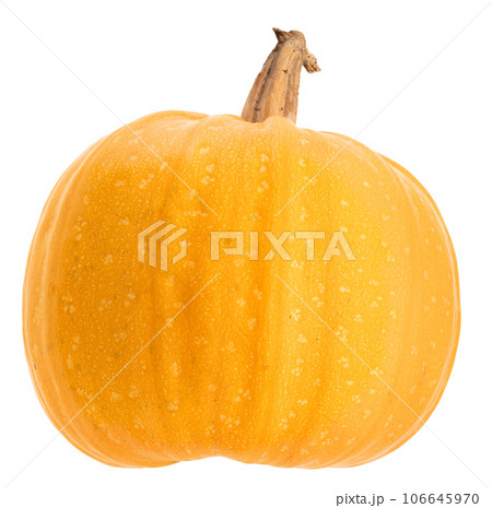 Orange round pumpkin isolated on white background Orange round pumpkin isolated on white background 106645970