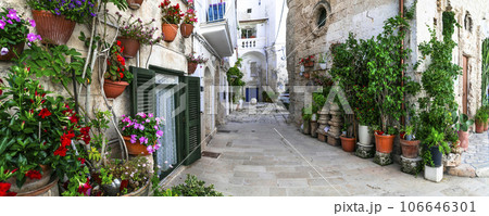 Traditional charming towns of southern Italy in Puglia region - Monopoli old town with floral narrow streets Traditional charming towns of southern Italy in Puglia region - Monopoli old town with floral narrow streets 106646301
