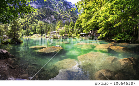 amazing Swiss ountain lakes - beautiful fairytale Blausee lake with clear trasparen waters. near Kandersteg village. Switzerland  travel and scenery 106646387
