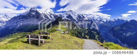 Swiss nature scenery. Scenic snowy Alps mountains and wild floral meadows. Beauty in nature. Switzerland landscape. View of Mannlichen mountain and famous hiking route Royal road 106646486