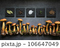 Aureoboletus projectellus mushrooms with spices on dark background. Menu concept. Flat lay, close up, copy space. 106647049