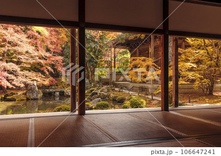 蓮華寺の紅葉の風景 和室から眺める紅葉 京都の紅葉の名所 日本庭園とモミジ 秋の京都観光スポット 蓮華寺の紅葉の風景 和室から眺める紅葉 京都の紅葉の名所 日本庭園とモミジ 秋の京都観光スポット 106647241