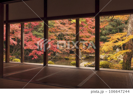 蓮華寺の紅葉の風景　和室から眺める紅葉　京都の紅葉の名所　日本庭園とモミジ　秋の京都観光スポット 106647244