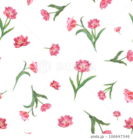 Watercolor seamless pattern of pink tulips. Spring flower illustration for print, textile design, wrapping paper, scrapbooking, postcards Watercolor seamless pattern of pink tulips. Spring flower illustration for print, textile design, wrapping paper, scrapbooking, postcards 106647346