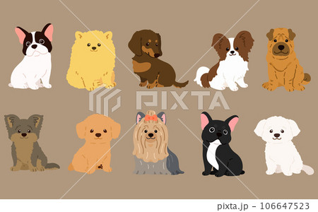 正面を向いてお座りするシンプルで可愛い小型犬のイラストセット　主線なし 106647523
