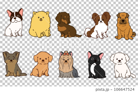 正面を向いてお座りするシンプルで可愛い小型犬のイラストセット　主線あり 106647524