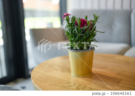 Natural green leafy flower pot for succulent decoration on the table in cafe. Natural green leafy flower pot for succulent decoration on the table in cafe. 106648161