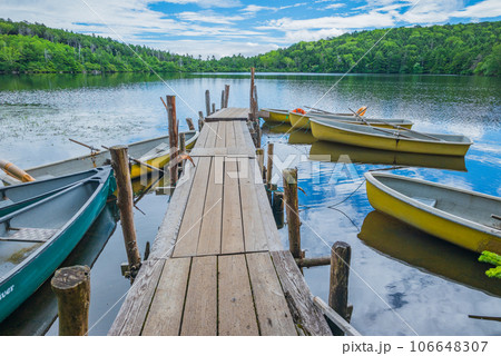 白駒の池【夏】 106648307