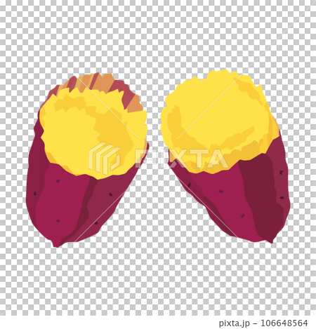 Hot roasted sweet potato illustration_Beni Azuma 106648564