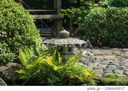 stone lantern amonf ferns in a Japanese garden stone lantern amonf ferns in a Japanese garden 106649057