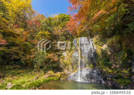 滝と紅葉（熊本県小国町遊水峡） 106649538