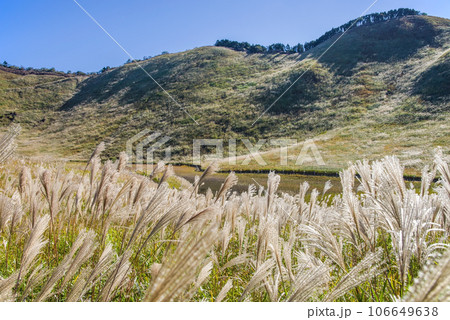 ススキの名所「曽爾高原・奈良県」 106649638