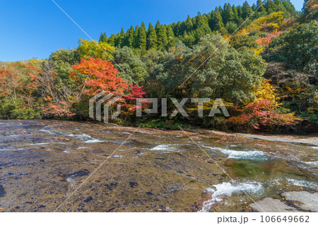 遊水峡の紅葉（熊本県小国町遊水峡） 106649662