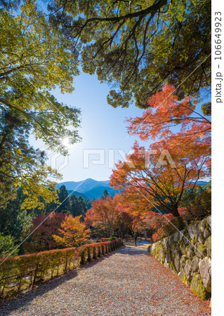 雷山千如寺大悲王院の紅葉(福岡県糸島市) 雷山千如寺大悲王院の紅葉(福岡県糸島市) 106649923