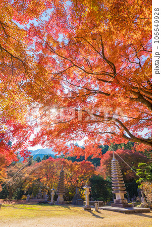 雷山千如寺大悲王院の紅葉(福岡県糸島市) 雷山千如寺大悲王院の紅葉(福岡県糸島市) 106649928