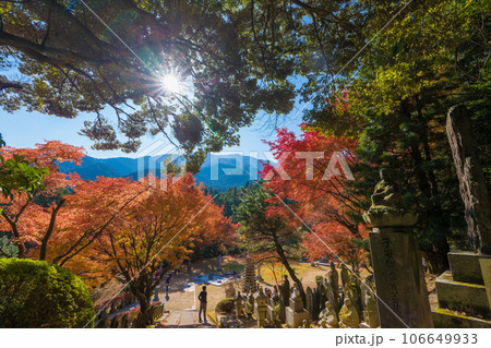 雷山千如寺大悲王院の紅葉(福岡県糸島市) 雷山千如寺大悲王院の紅葉(福岡県糸島市) 106649933