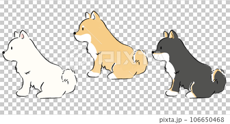 手書き風のシンプルなかわいい柴犬のイラスト おすわり 手書き風のシンプルなかわいい柴犬のイラスト おすわり 106650468