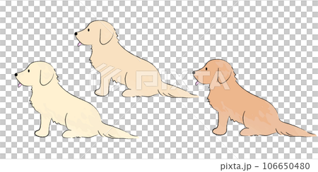 Handwritten style simple cute golden retriever illustration sitting Handwritten style simple cute golden retriever illustration sitting 106650480