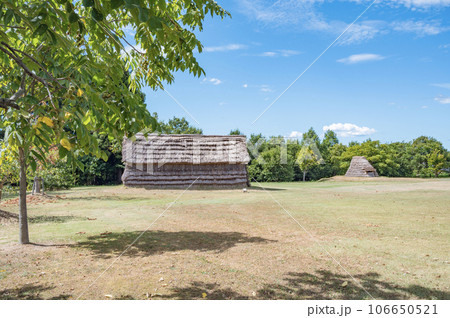 新潟　馬高遺跡 106650521