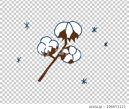 Illustration of cotton flowers Illustration of cotton flowers 106651121