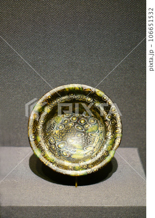 4954　パラテ杯 106651532