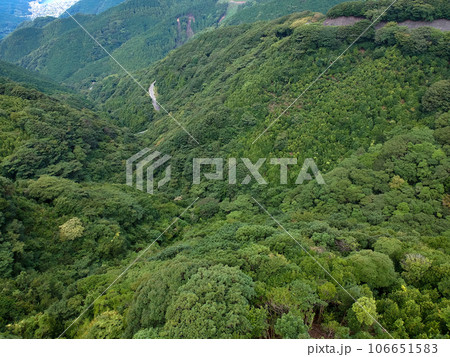 夏の緑の山と山中の道路の風景 夏の緑の山と山中の道路の風景 106651583