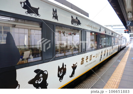 観光特急 キハ183系 あそぼーい! 観光特急 キハ183系 あそぼーい! 106651883