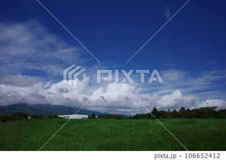 青空の下、畑のむこうに電波望遠鏡が見える野辺山高原の夏の風景 青空の下、畑のむこうに電波望遠鏡が見える野辺山高原の夏の風景 106652412