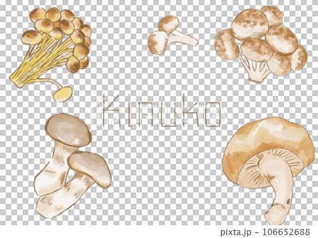一套水彩矢量蘑菇 106652688