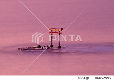 残照の海原に立つ勝浦湾旧遠見岬神社の鳥居　 106652995