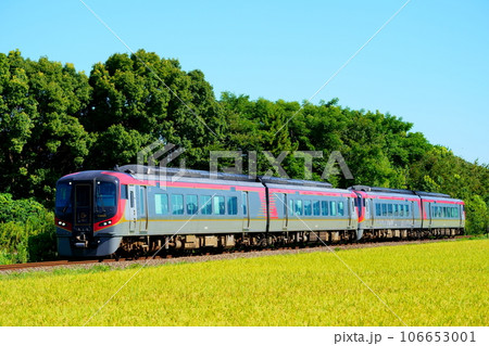 【阿波踊り輸送】4両編成で運転される2600系・特急うずしお 106653001