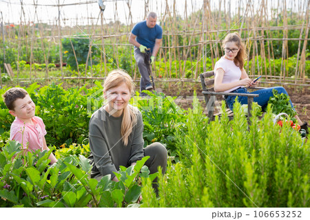 Young female working in garden with family 106653252