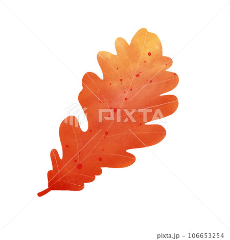 Autumn leaf 106653254