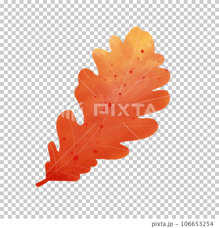 Autumn leaf 106653254
