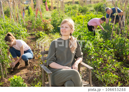 Woman resting sitting on chair while rest of the family works on garden beds 106653288