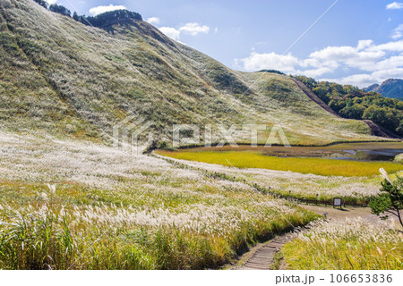 ススキの名所「曽爾高原・奈良県」 ススキの名所「曽爾高原・奈良県」 106653836