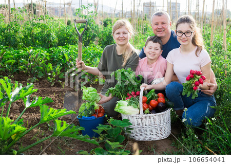 Family posing in garden with picked vegetables 106654041