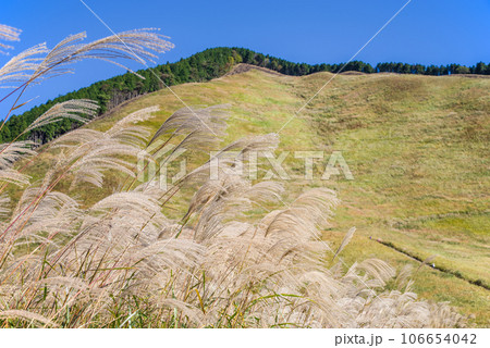 ススキの名所「曽爾高原・奈良県」 106654042