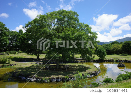 野辺山高原にある矢出川公園 野辺山高原にある矢出川公園 106654441
