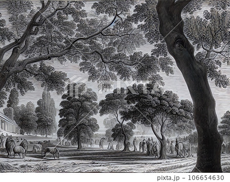 木のある風景 106654630