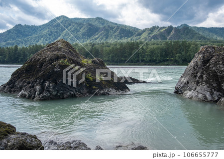 A wide, full-flowing mountain river with a fast current. Large stones stick out of the water. The large turquoise-colored mountain river Katun in the Altai Mountains, Altai Republic. 106655777
