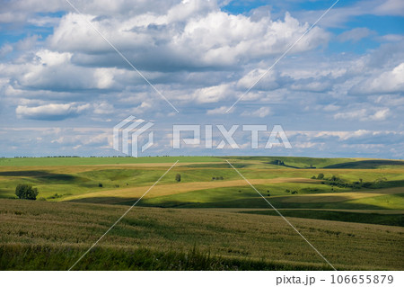 Green grass field on small hills and blue sky with clouds. Agricultural field with sky and clouds. The rural nature of farms. Straw in the meadow. Rural natural landscape. The grain harvest Green grass field on small hills and blue sky with clouds. Agricultural field with sky and clouds. The rural nature of farms. Straw in the meadow. Rural natural landscape. The grain harvest 106655879