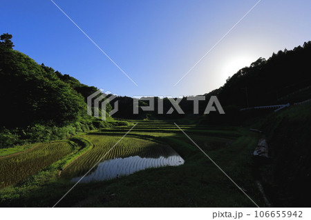 田植えの終わった入郷石畑の棚田/栃木県茂木町 田植えの終わった入郷石畑の棚田/栃木県茂木町 106655942