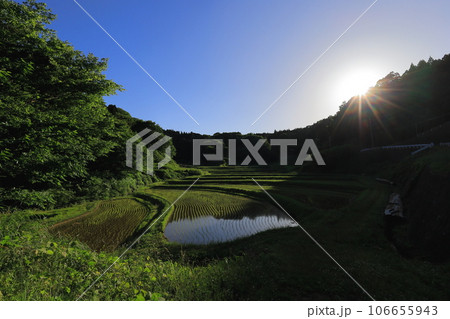 日が落ちる入郷石畑の棚田/栃木県茂木町 日が落ちる入郷石畑の棚田/栃木県茂木町 106655943