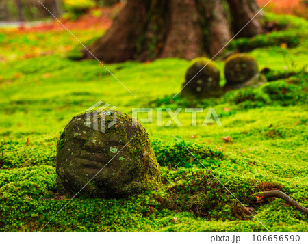 秋の京都 三千院 わらべ地蔵 秋の京都 三千院 わらべ地蔵 106656590