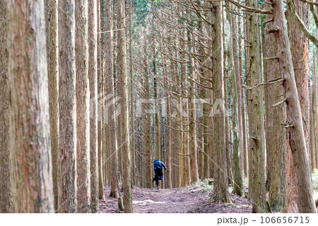 金剛山の登山道 金剛山の登山道 106656715
