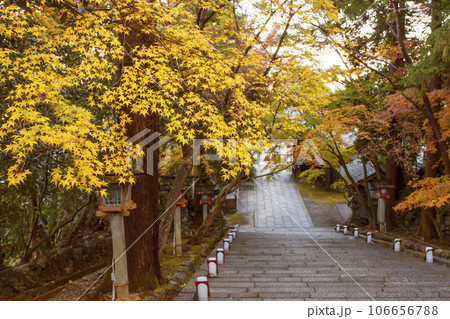 法輪寺の紅葉の風景　京都嵐山の紅葉名所　京都の秋の観光スポット　紅葉と石段 106656788
