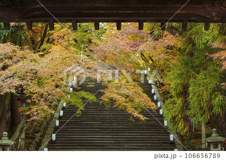 法輪寺の紅葉の風景 京都嵐山の紅葉名所 京都の秋の観光スポット 紅葉と石段 法輪寺の紅葉の風景 京都嵐山の紅葉名所 京都の秋の観光スポット 紅葉と石段 106656789